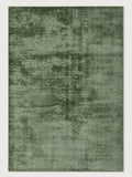 Tapis Lichen vert mousse — vue entière du dessus